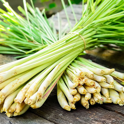 CYBEXIS XL-12 - East Indian Lemon Grass - (750 Seeds) Seed(750 per packet)