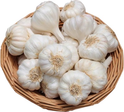 KILESHWAR Garlic Seeds Bulbs Seed(200 g)