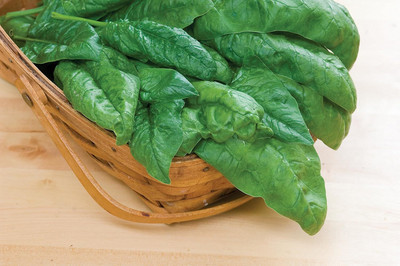 CRGO Spinach Seed(50 per packet)