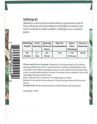Biosnyg Long Standing Spinach Seeds[500 Seeds] Seed(500 per packet)