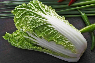WILLVINE PAU -XIII Chinese Cabbage Seeds - Michihili Heirloom [50g] Seed(15000 per packet)