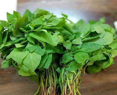 ITTUMM Bathua Seeds / Chenopodium Seed(500 per packet)