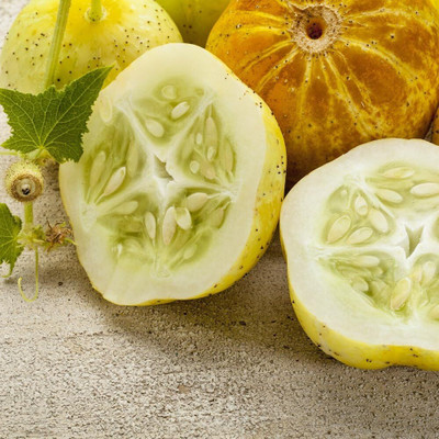 Qualtivate RES-6A Lemon Cucumber Seeds Seed(300 per packet)