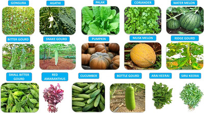 CHILLATAI Best Collection 16 Variety Combo Vegetable Seed(10400 per packet)