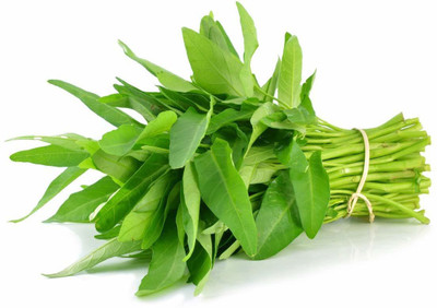 VibeX ® XLR-657 Water Spinach Thai Kangkong Spinach Nari Seed(500 per packet)