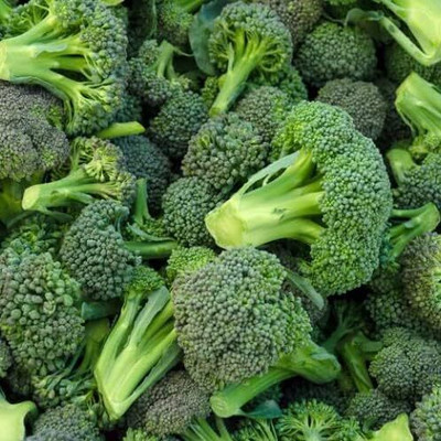 WILLVINE PUSA -X Broccoli Seeds, Non-GMO [25g] Seed(7500 per packet)