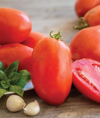Qualtivate JXL-8AT Gladiator Red Roma Tomato Seed(300 per packet)