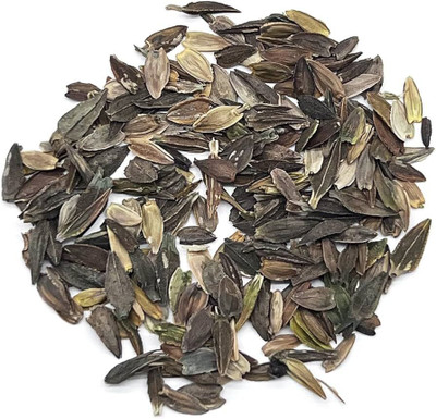 jkfarm Zinnia Mixed Flower Seed(38 per packet)