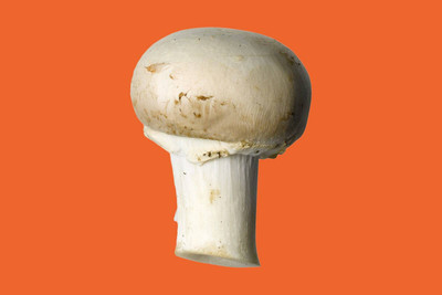 XOLDA Mushroom herbs Seed(27 per packet)