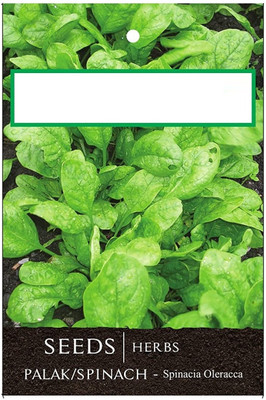 CYBEXIS Palak/Spinach Hybrid Seeds4000 Seeds Seed(4000 per packet)