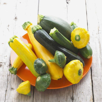 CYBEXIS NBIR-93 - Zucchini and Squash Mix - (225 Seeds) Seed(225 per packet)