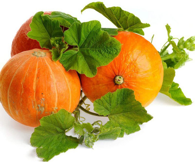 CYBEXIS Pumpkin Seed(400 per packet)
