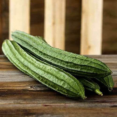 CYBEXIS VVI-55 - Ridge Gourd | Chinese Okra | Turia Non-GMO - (900 Seeds) Seed(900 per packet)