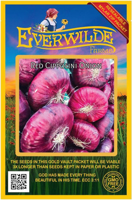 WILLVINE VMR -V Red Cippolini Onion Seeds [2.5g] Seed(1500 per packet)