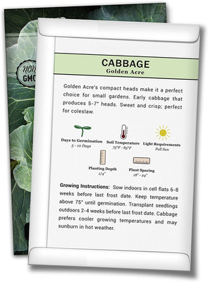 WILLVINE ® Golden Acre Cabbage Seeds Seed(5000 per packet)