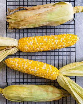 Qualtivate GBPT-4A Bicolor Yellow & White F1 Sugary Corn Seed(400 per packet)