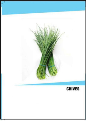 CYBEXIS Hybrid Chives Seeds(1000 Seeds) Seed(1000 per packet)