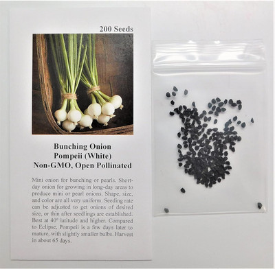 Qualtivate ICRA-8A Bunching Onion Pompeii(White) Seed(500 per packet)