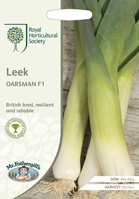 CYBEXIS Leek Oarsman F11000 Seeds Seed(1000 per packet)