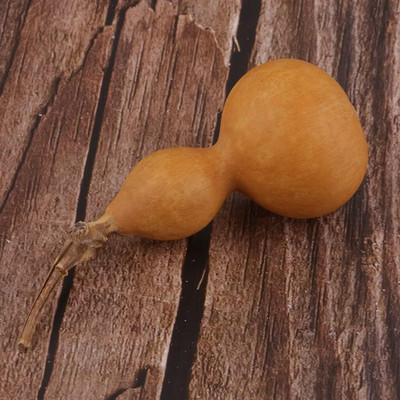 Qualtivate PUA5-A Traditional Large Birdhouse or Bottle Gourd Seed(50 per packet)