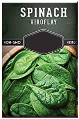 CYBEXIS Spinach-500 Seeds Seed(500 per packet)