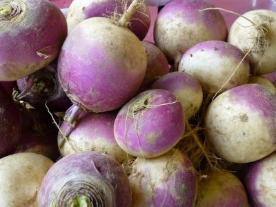 MYLAWN Turnip Shalgam White Purple Seed(100 per packet)