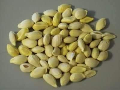 MAA Lemon, Nimbu Seed(90 per packet)