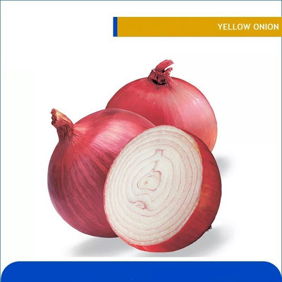 Avysa Onion Yellow Onion Seed(800 per packet)
