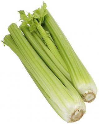 Quentova Organic Green Celery Vegetable-10E-AHS Seed(100 per packet)