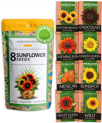VibeX ® VLR-416 Sunflower 8 Collection Seed(200 per packet)