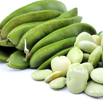 SeeGreen Sem Phali/runner beans / Lima Beans for Home Garden_10 Seed(10 per packet)