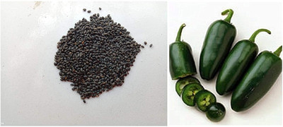 CRGO BASIL , TULSI Seed(100 per packet)