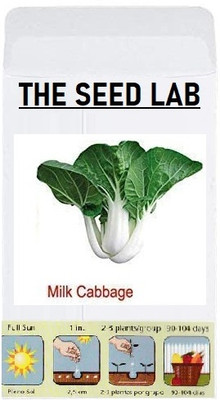 KNESSiN Cabbage Milk/Pak Choi Seed(1250 per packet)