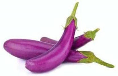 Aywal Long Brinjal for Home Garden Seed(650 per packet)