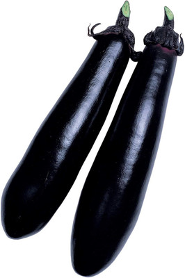 KNESSiN Brinjal Seeds - Black Shine - Hybrid-[2gm] Seed(500 per packet)