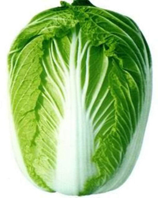 CYBEXIS Summer Heat-Resistant Chinese Cabbage Seed2000 Seeds Seed(2000 per packet)