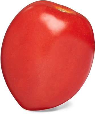 Quentova सलाद टमाटर Tomato-VK-4X Seed(250 per packet)