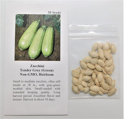 CYBEXIS HUA-48 - Zucchini Tender Grey - (225 Seeds) Seed(225 per packet)