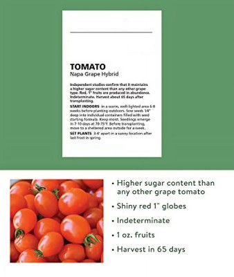 Quentova Napa Grape Tomato 10gm Seeds Seed(4000 per packet)