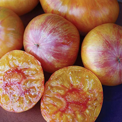 Quentova Striped Beefsteak Tomato 2.5gm Seeds Seed(1000 per packet)