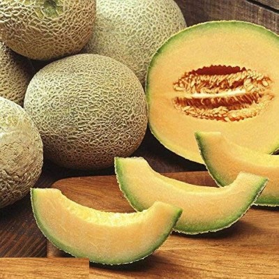 BDSresolve muskmelon seeds f1 hybrid/muskmelon seed 5 Seed(5 per packet)