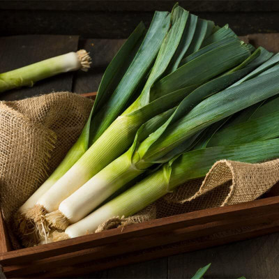 Biosnyg High Germination American Flag Large Leek Seeds For Gardening-(750 Seeds) Seed(750 per packet)