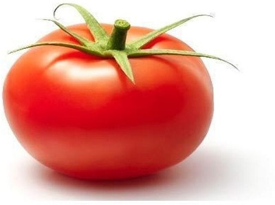 VRAKSHA High Quality Tomato Seed(2000 per packet)