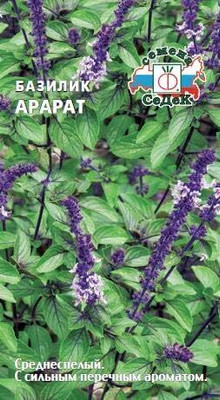 WILLVINE Basil Ararat-[2000 Seeds] Seed(2000 per packet)