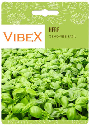 Biosnyg Genovese Basil Herb Seeds[500 Seeds] Seed(500 per packet)