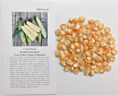 WILLVINE ROX -II Corn Sweet Double Standard-[100g] Seed(400 per packet)