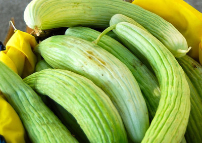 CYBEXIS HUA-31 - Long Melon kakri vegitable - (1350 Seeds) Seed(1350 per packet)