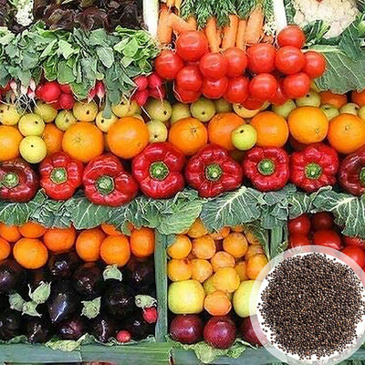 CYBEXIS 25 Varities Mixed Vegetable Seeds for Greenhouse Mixed Vegetable Seeds Combo Seed(10 g)