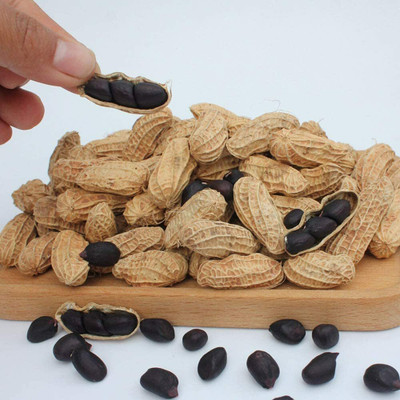 CYBEXIS Hybrid Black Peanut Plant Seeds for Planting2000 Seeds Seed(2000 per packet)