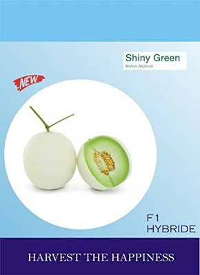 CYBEXIS PUAS-60 - MUSK MELON KAJRI - (450 Seeds) Seed(450 per packet)